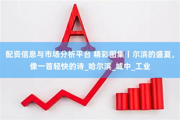 配资信息与市场分析平台 精彩图集丨尔滨的盛夏，像一首轻快的诗_哈尔滨_城中_工业